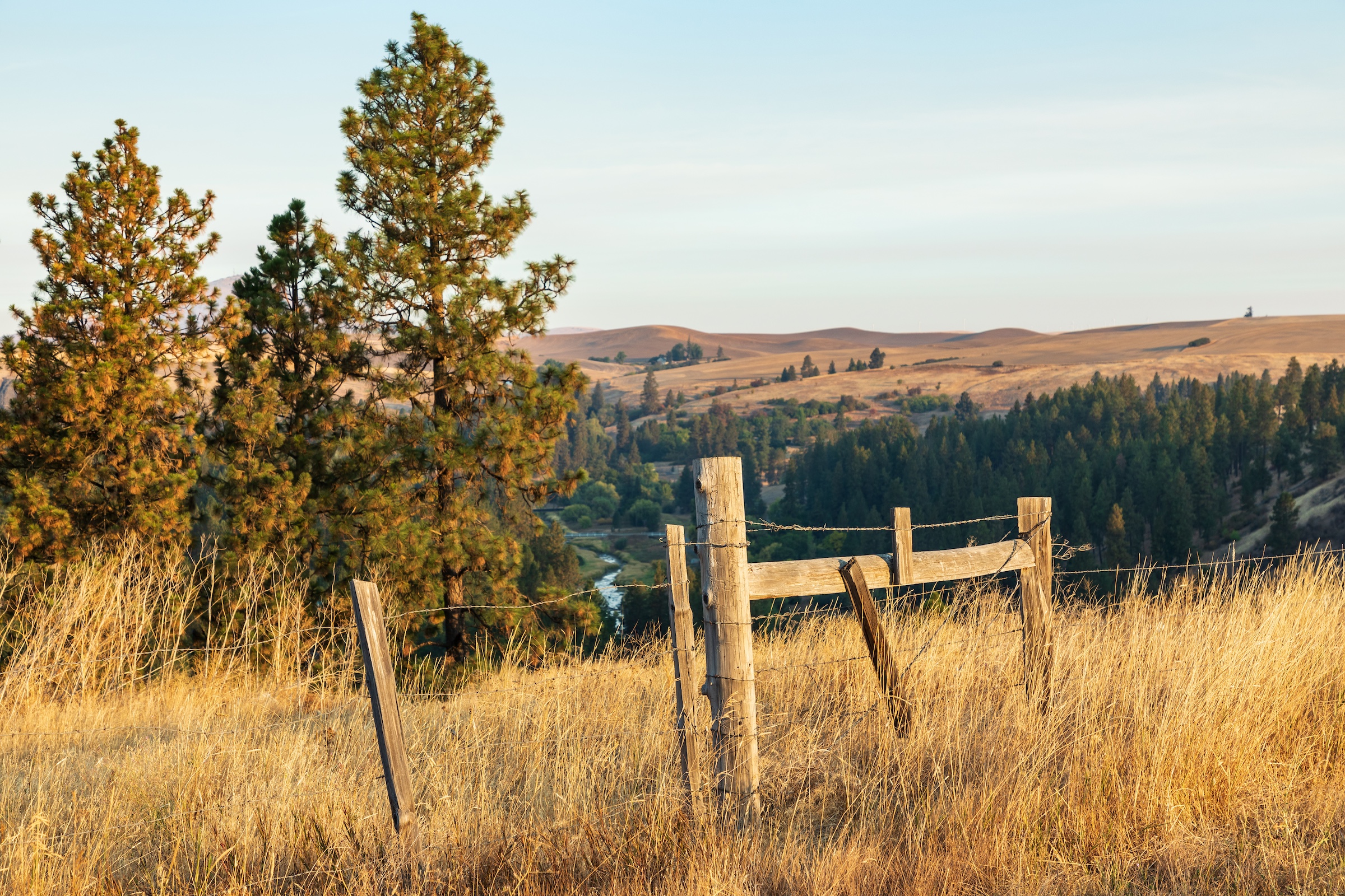 Cheney Background HP